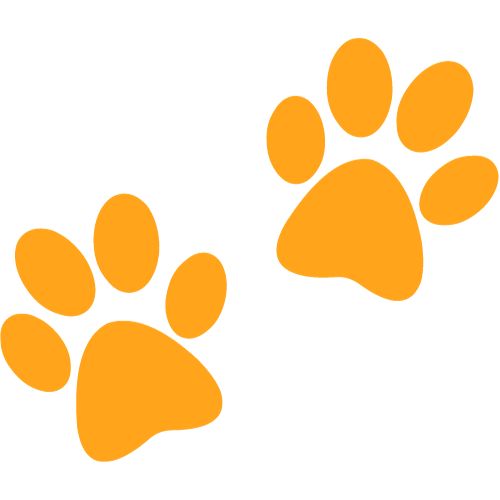 As melhores Seguradoras do Brasil